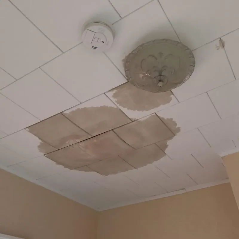 Ceiling Water Damage Repair in Bermuda Run, NC