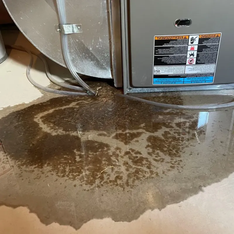 Pipe Burst and Leak Restoration in Bermuda Run, NC