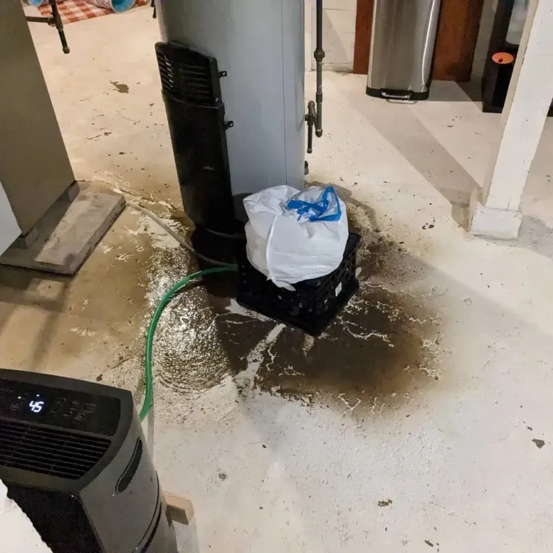 Sewage Backup Cleanup Service in Bermuda Run, NC